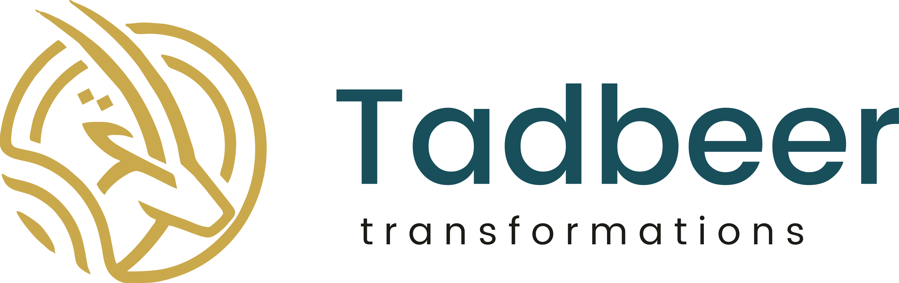 Tadbeer Transformations